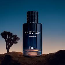 Dior Sauvage - Eau de Parfum 100 ml